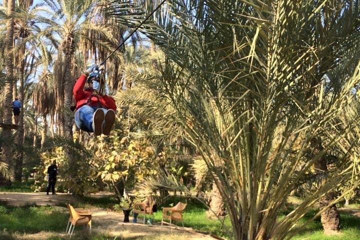 Sahara Lounge Tozeur: High-Ropes Adventure in the Tunisian Oasis photo 2