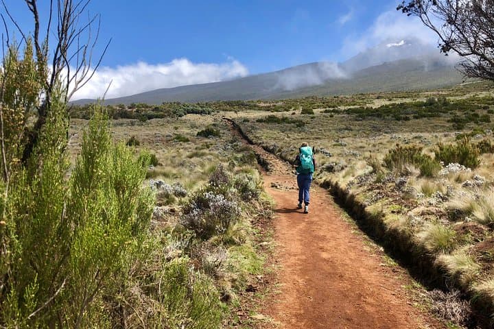 Kilimanjaro Lemosho Route — An 8‑Day Guide to Summit Uhuru Peak photo 3