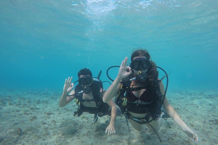 Discover Scuba Diving in San Andrés: Introductory DSD Open-Water Experience photo 6