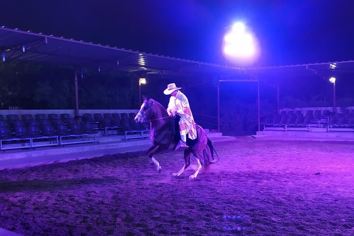 Lima Day & Night: Historic Center, Magic Water Circuit and Peruvian Horse Dinner Show photo 6