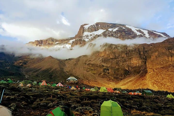 Kilimanjaro Lemosho Route — An 8‑Day Guide to Summit Uhuru Peak photo 4