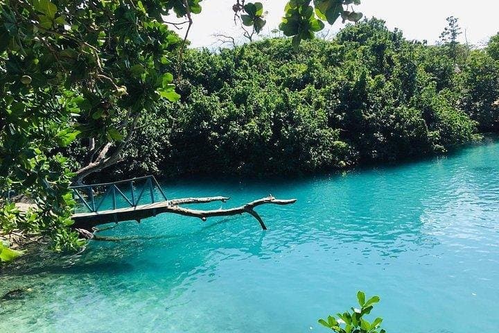 Port Vila Full Day Tour: Blue Lagoon, AVI Turtles & Mele Waterfalls photo 4