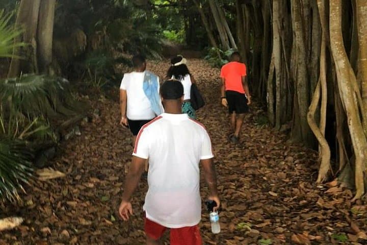 Bermuda Railway Trail: Off-the-Beaten-Path 3-Hour Coastal & Nature Walk