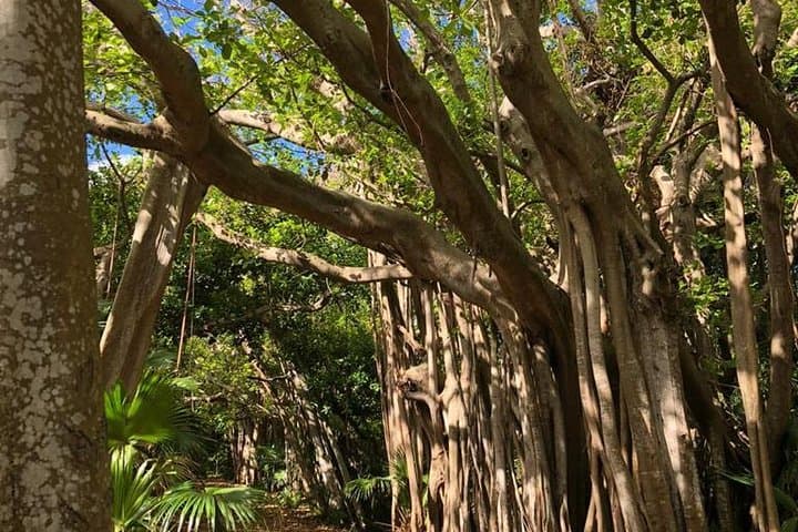 Bermuda Railway Trail: Off-the-Beaten-Path 3-Hour Coastal & Nature Walk photo 4