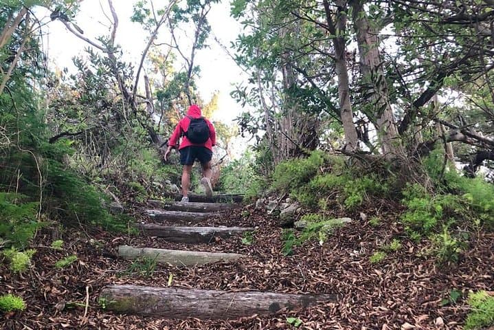 Bermuda Railway Trail: Off-the-Beaten-Path 3-Hour Coastal & Nature Walk photo 6