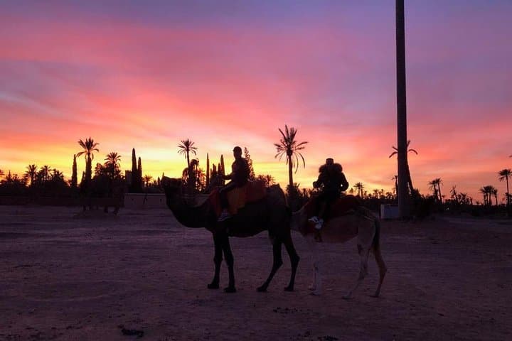 Sunset Camel Ride in Marrakech Palmeraie — Camel Tour, Berber House & Mint Tea photo 3