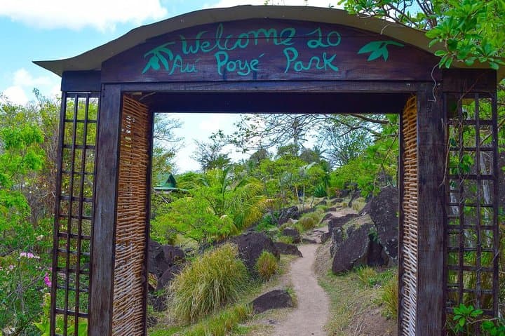 Summit Gros Piton: Guided Hike from Soufrière, St. Lucia photo 3