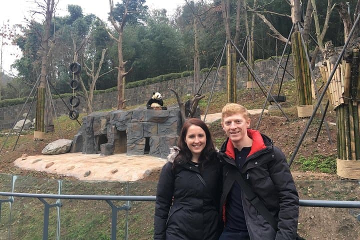 Half-Day Chengdu Giant Panda Base Tour — See Pandas at the Research & Breeding Center