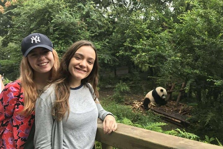 Chengdu Discovery: Panda Base & Leshan Giant Buddha Day Tour