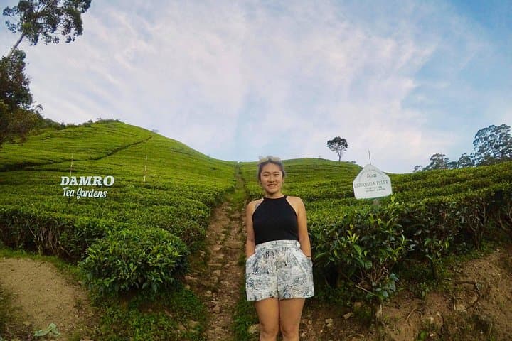 Nuwara Eliya Day Trip: Tea Gardens, Waterfalls & Colonial Hill-Station Tour photo 3