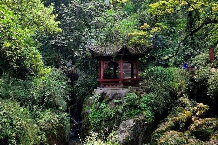 2-Day Chengdu Panda Base, Leshan Giant Buddha & Mt. Emei Small-Group Tour photo 4