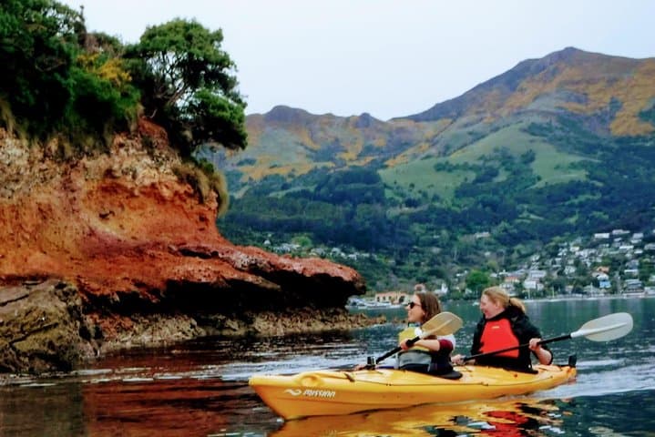 Sea Kayaking Akaroa Marine Reserve: Guided Wildlife & Volcanic Crater Paddle photo 2