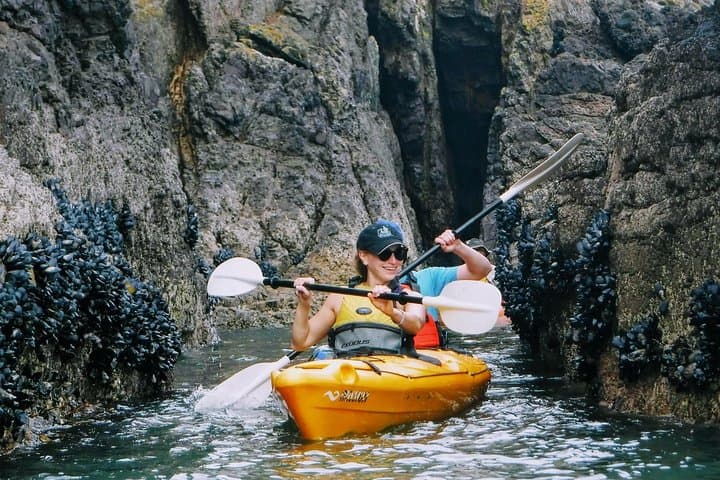 Sea Kayaking Akaroa Marine Reserve: Guided Wildlife & Volcanic Crater Paddle photo 3