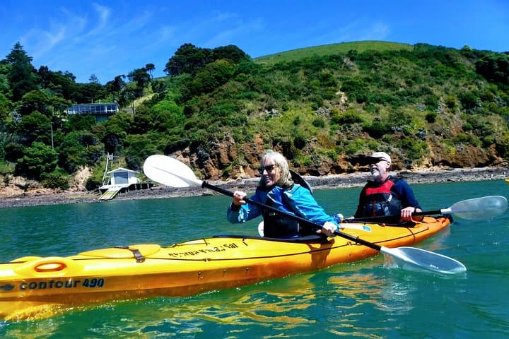 Akaroa Sea Kayak Safari — Paddle the Marine Reserve with Hector Dolphins photo 3