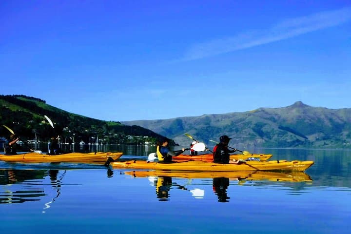 Akaroa Sea Kayak Safari — Paddle the Marine Reserve with Hector Dolphins photo 6