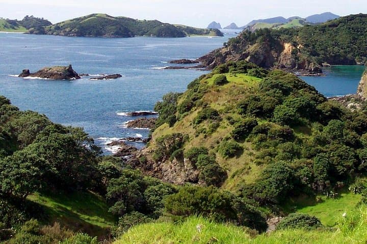 Phantom Sailing Bay of Islands: Small‑Group Day Cruise From Russell photo 2