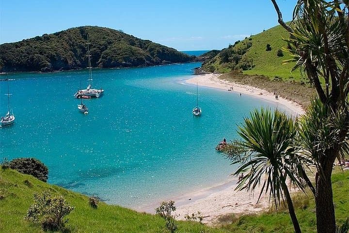 Phantom Sailing Bay of Islands: Small‑Group Day Cruise From Russell photo 5