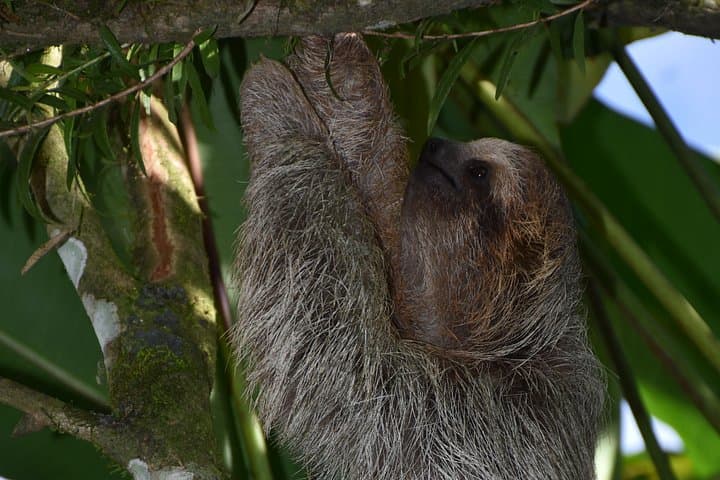 Arenal Rafting and Volcano Hike — La Fortuna Day Trip photo 2