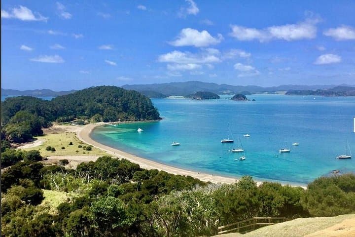 Phantom Sailing Bay of Islands: Small‑Group Day Cruise From Russell photo 6