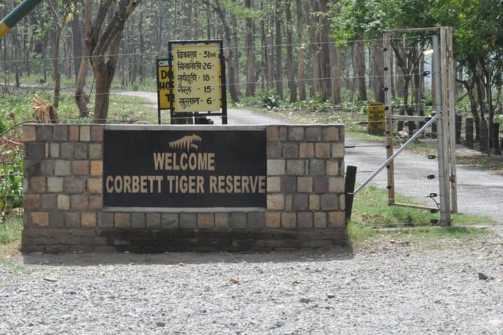 Two Nights in Dhikala: Tiger Safaris & Forest Rest House Stay in Jim Corbett photo 2