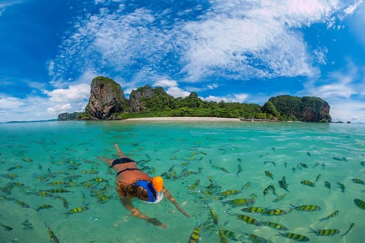 Phi Phi Maya & Bamboo Speed Boat Day Trip from Phuket photo 3