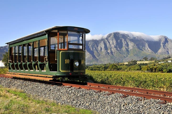 Cape Winelands Day Trip: Stellenbosch, Franschhoek & Paarl Wine Tour from Cape Town