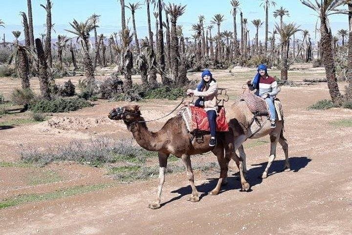 Half-Day Quad and Camel Ride in Jbilets Desert: Bab Atlas Adventure from Marrakech photo 1