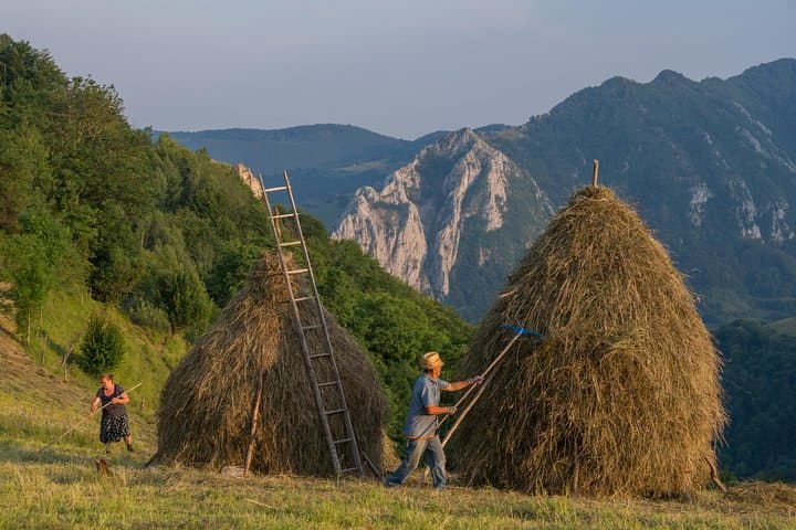 Transylvanian Villages & Bran Castle Day Trip from Brasov