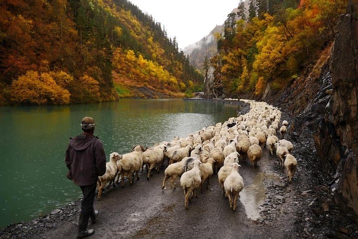 Trekking Tusheti to Khevsureti via Atsunta Pass — 6-Day High-Altitude Caucasus Trek photo 4