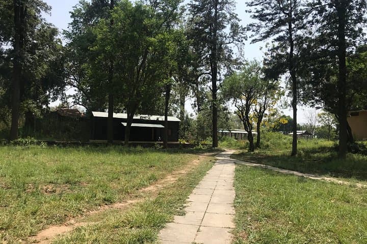 Two Nights in Dhikala: Tiger Safaris & Forest Rest House Stay in Jim Corbett photo 6