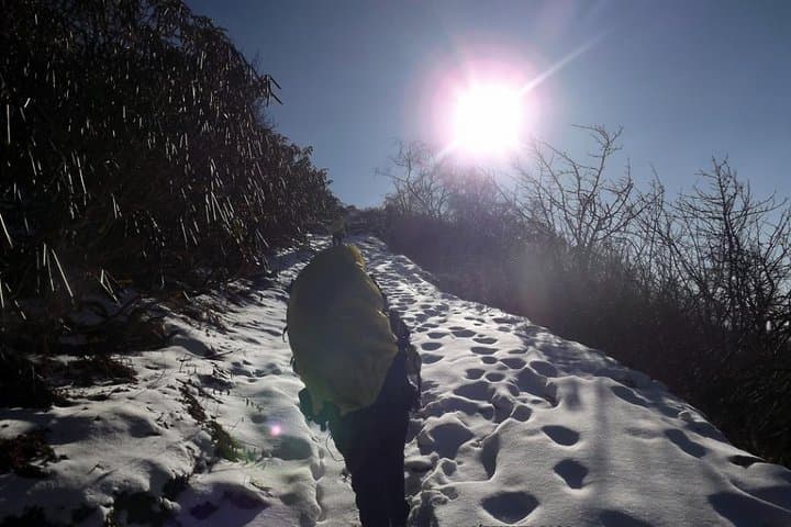 Dayara Bugyal Trek: High-Altitude Meadows & Himalayan Panorama near Uttarkashi photo 4
