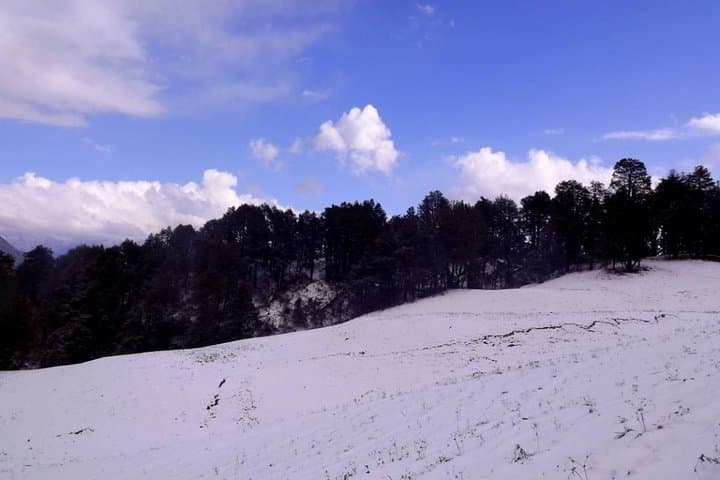 Dayara Bugyal Trek: High-Altitude Meadows & Himalayan Panorama near Uttarkashi photo 5