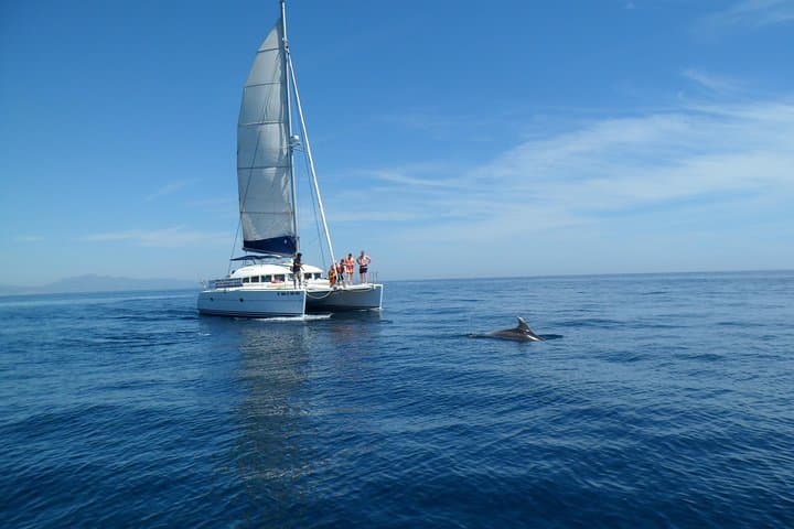 Dolphin-Watching Catamaran from Estepona — 1-Hour Coastal Cruise