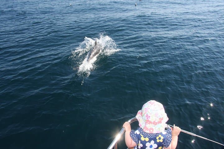 Dolphin-Watching Catamaran from Estepona — 1-Hour Coastal Cruise photo 3