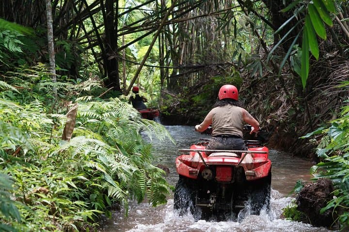 ATV Tour Through Bali's Bamboo Forests and Rice Terraces photo 6