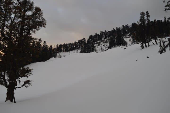 Kedarkantha Trek Guide: 5-Day Himalayan Summit & Camping Experience photo 6