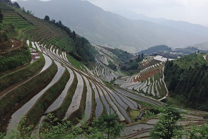Longji Rice Terraces Day Tour: Ping'an & Dazhai Villages photo 2