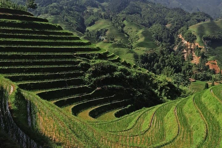 Longji Rice Terraces Day Tour: Ping'an & Dazhai Villages photo 4