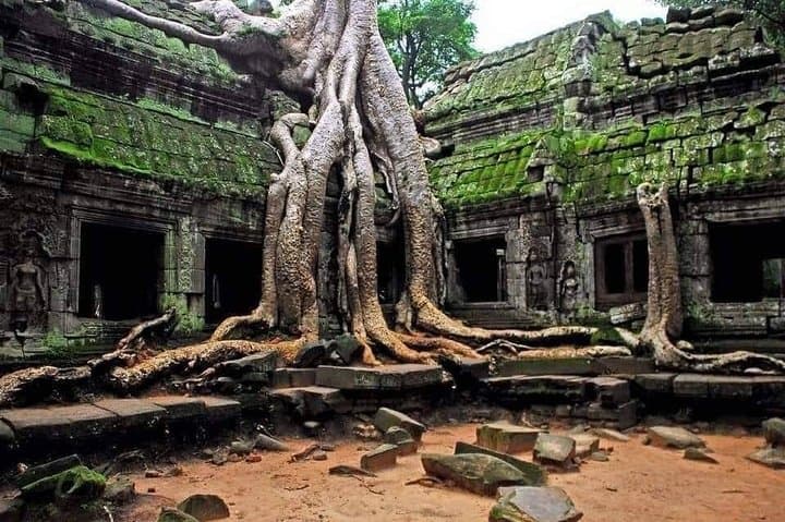 Sunrise at Angkor Wat: Private VIP Full-Day Temple Tour photo 4