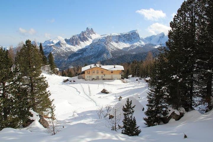 Snowshoeing Beneath the Tofane: Forest Trails of Cortina d'Ampezzo photo 3