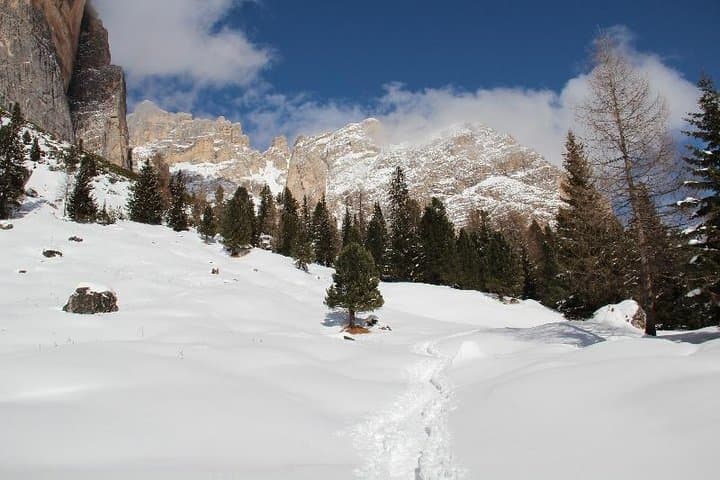 Snowshoeing Beneath the Tofane: Forest Trails of Cortina d'Ampezzo photo 6