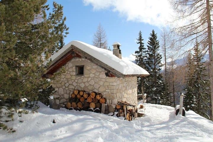 Snowshoeing Beneath the Tofane: Forest Trails of Cortina d'Ampezzo photo 2