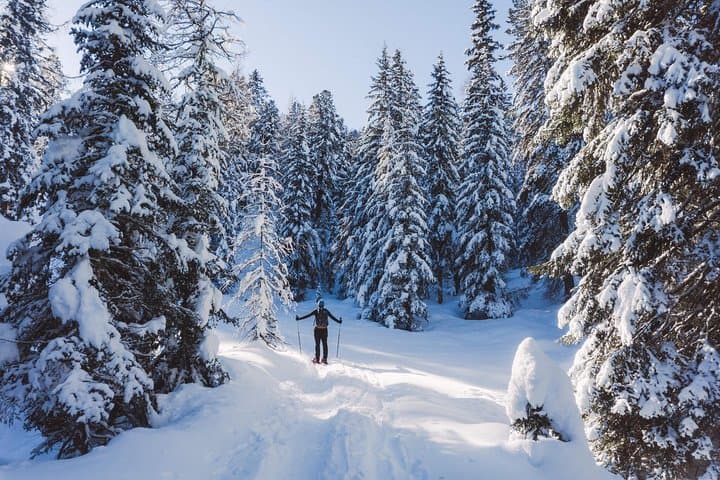 Snowshoeing Beneath the Tofane: Forest Trails of Cortina d'Ampezzo