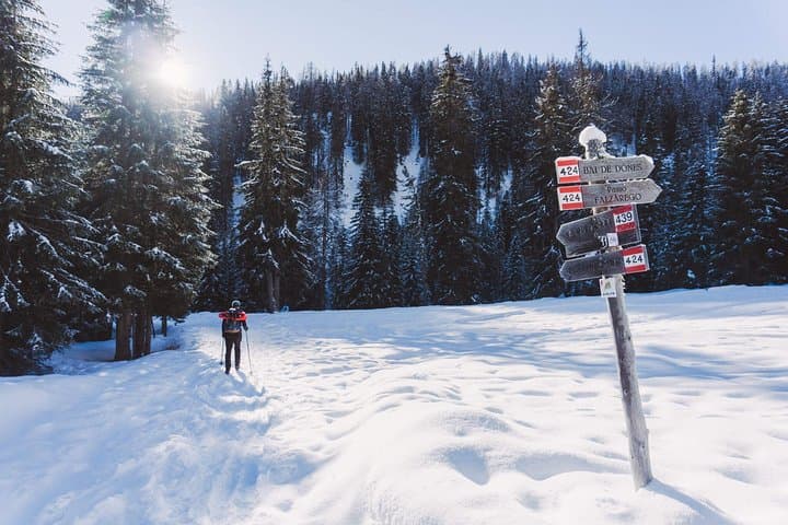 Snowshoeing Beneath the Tofane: Forest Trails of Cortina d'Ampezzo photo 4