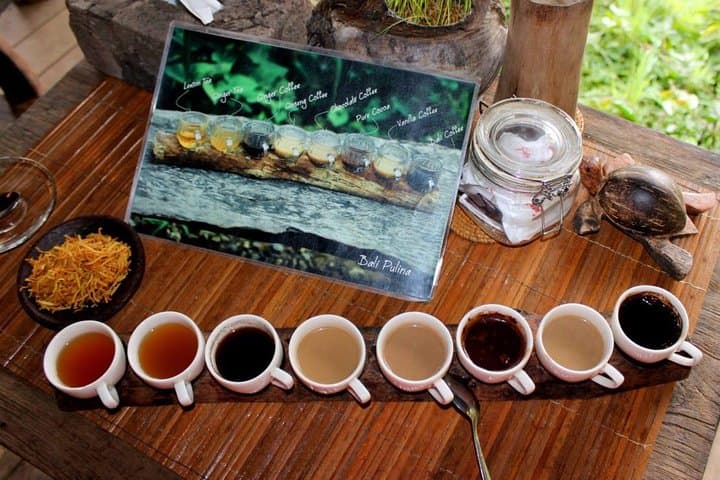 Bali Iconic Tour: Beratan Temple, Jatiluwih Rice Terraces & Leke-Leke Waterfall photo 3
