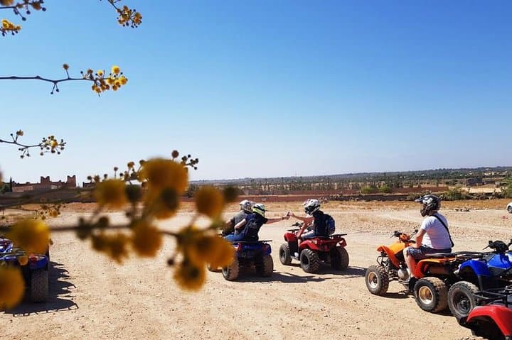 Half-Day Palmeraie Quad Adventure — Dunes, Palm Groves & Moroccan Desert Trails photo 5