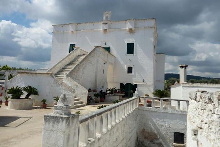 Cycling Through Monopoli’s Millenary Olive Groves: A 4–5 Hour Bike & Oil Tasting Tour photo 3