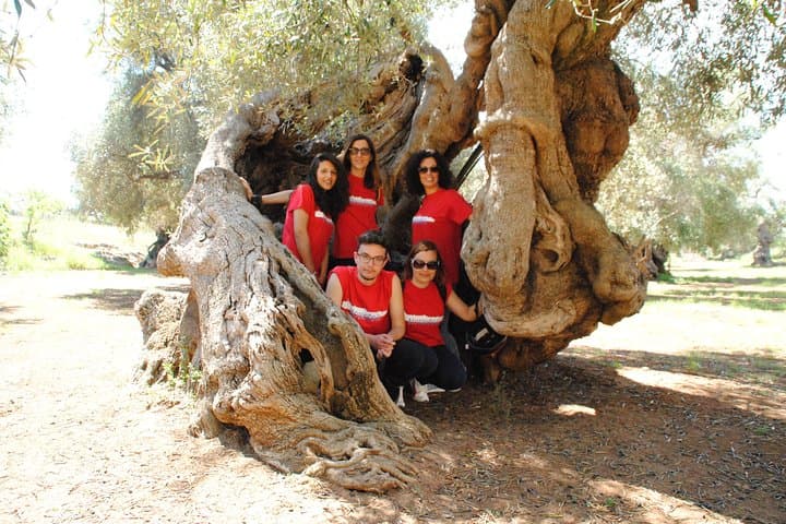 Cycling Through Monopoli’s Millenary Olive Groves: A 4–5 Hour Bike & Oil Tasting Tour photo 4