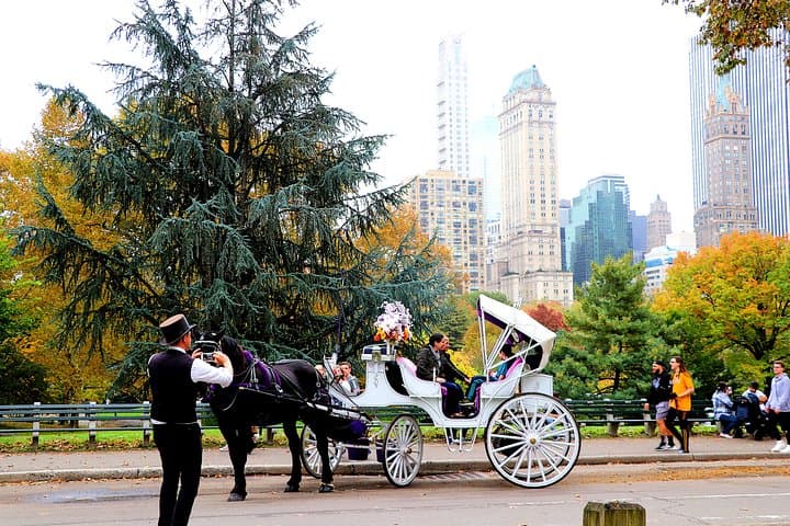 VIP Horse Carriage Ride Through Central Park — Private 1-Hour Tour photo 6