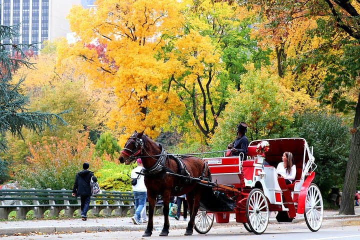 Central Park Short Horse Carriage Loop — 20-Minute Ride from 59th & 6th photo 6